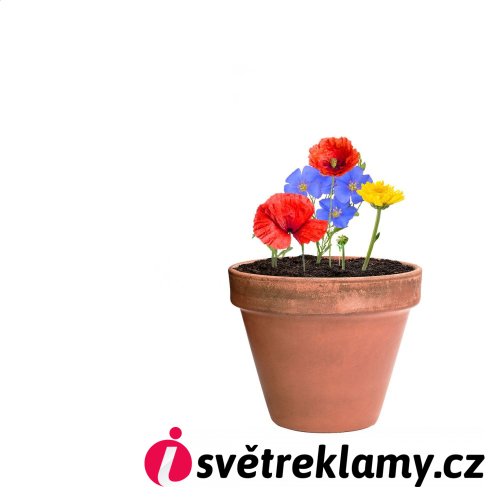 Flobba koule se semínky