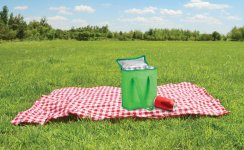 Fridrate chladící taška