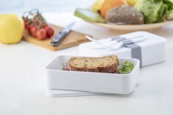 Ayam antibakteriální box na jídlo