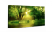 Fotoobraz 80x30 cm