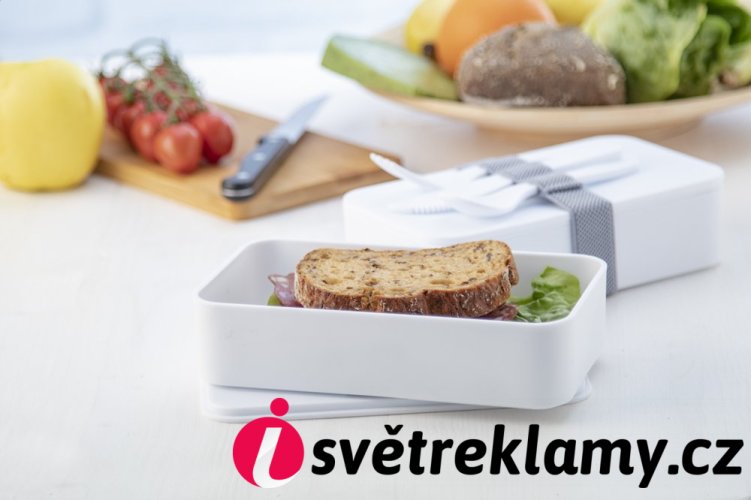 Ayam antibakteriální box na jídlo