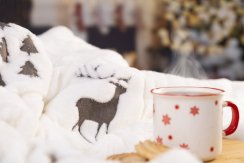 Arsunda RPET vánoční deka