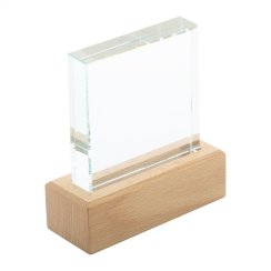 Rectofi trofej