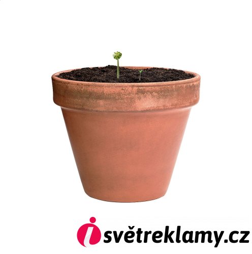 Flobba koule se semínky