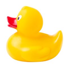 Squack kačenka