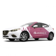 Polepy automobilů