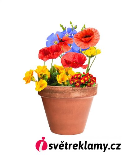 Flobba koule se semínky